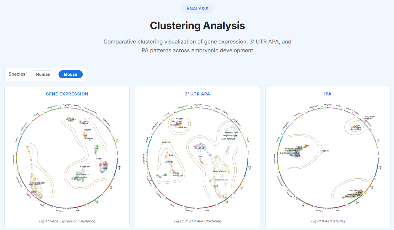 Heterogeneity - Mouse Heatmaps