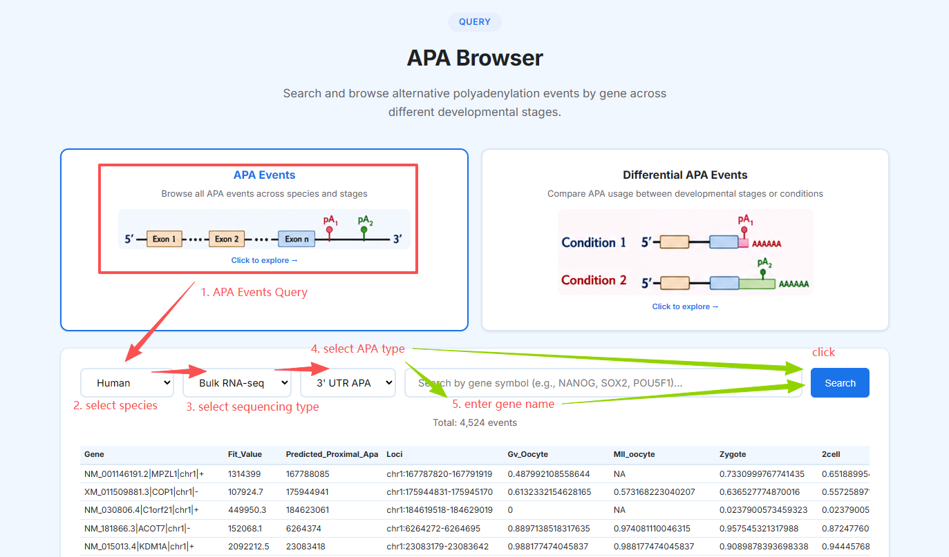 APA Browser - Identified APA Events