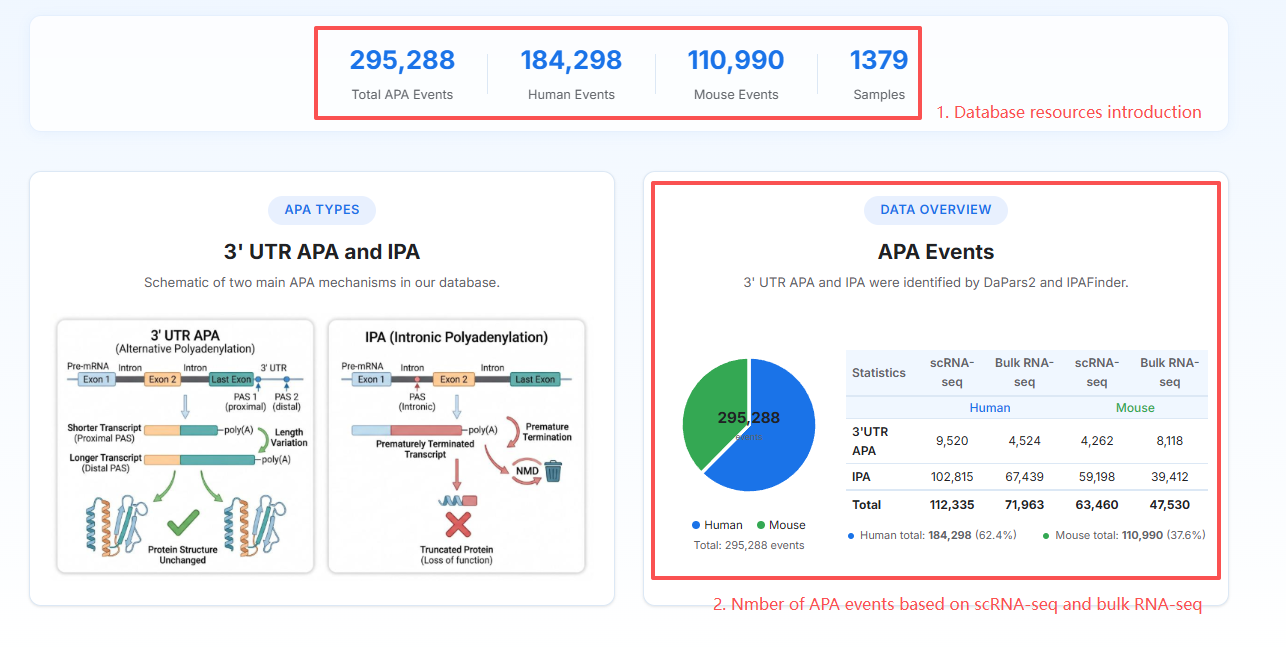 EmbryoAPA Homepage Statistics